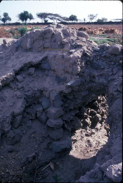 Detail of wall running south from Chicamita (Site 118)