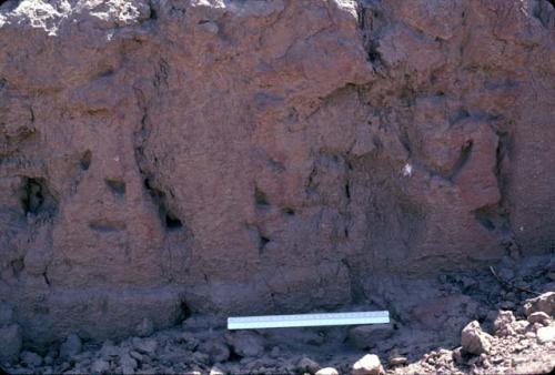 Eroded frieze fragment from huaca side at Site 121