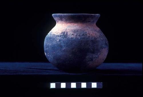 Short everted neck jar with press molded dots on shoulder from Site 94