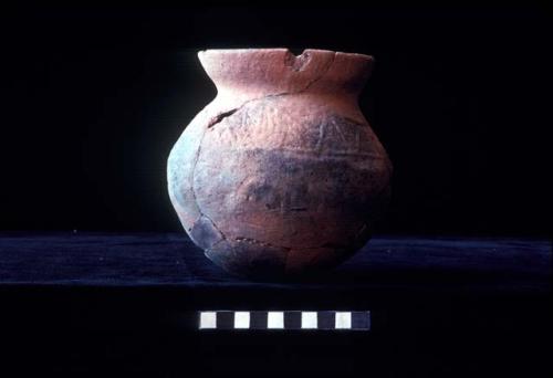 Short everted neck jar with press molded design from Site 94