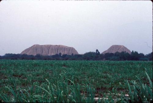 Huacas at Sipan