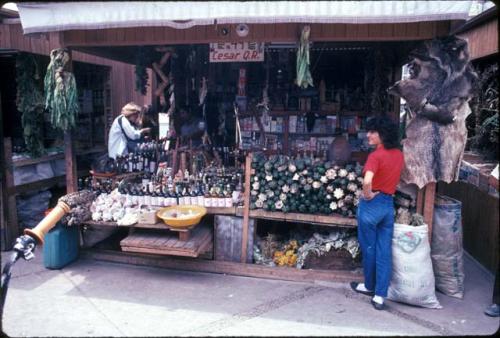 Lisa Valkenier at Witch's Market