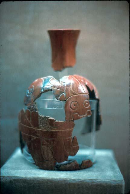 Bottle from Purulen