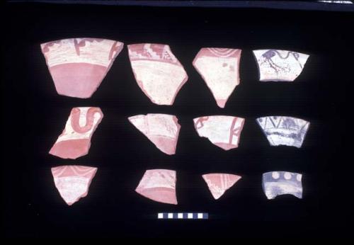 Florero rim sherds from Site 133