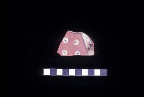 Tricolor sherd from Site 131