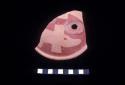 Ceramic sherd with fish from Site 131