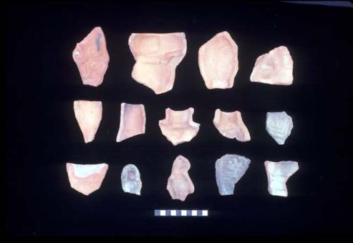 Molds from Site 133