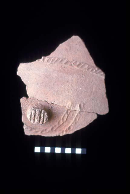 Ceramic sherd from Site 128