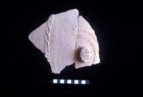 Ceramic applique lug with incisions and applique ribs with diagonal dent punctates from Site 128