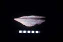 Double rim ceramic sherd from Site 94