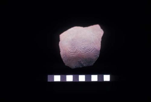 Ceramic sherd with paddle stamped concentric circles from Site 123