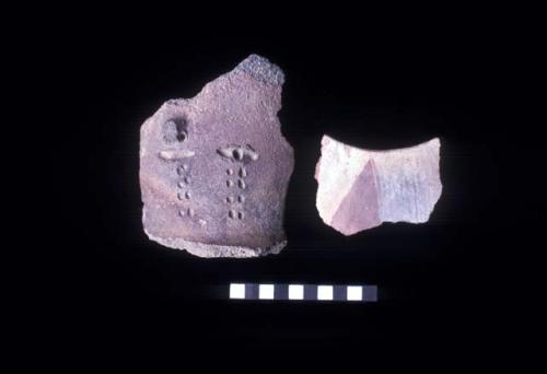 Crying face tall neck sherd with white slip on purple and upturned rim sherd from neckless olla from Site 120