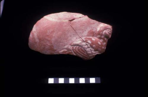 Ceramic sherd from scallop style grated bowl from Site 128