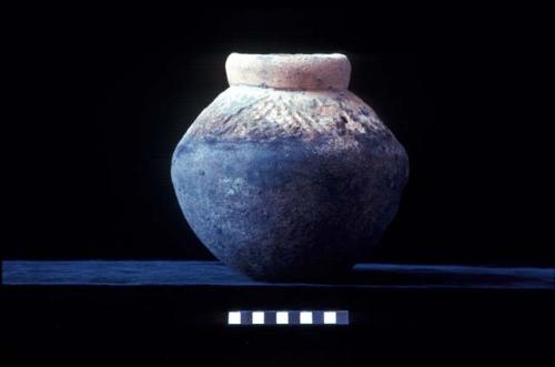 Jar from Site 131