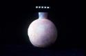Oval bottle from Site 129
