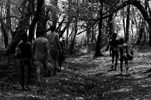 Walking through the forest, Karl Heider and another anthropologist with them