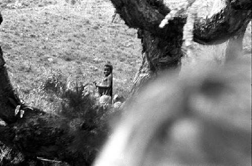 Blurry image of woman through trees -- obstruction in image foreground