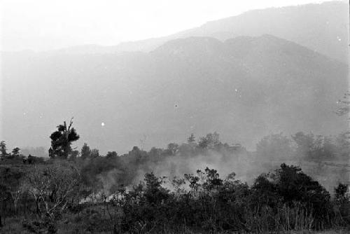 View about 1/3 of the way up the Aikhé river, when the expedition stopped at a man's garden, towards a fire burning through the trees