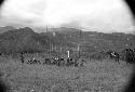 Distant shot of men seated at an Etai -- dancing group approaching at right