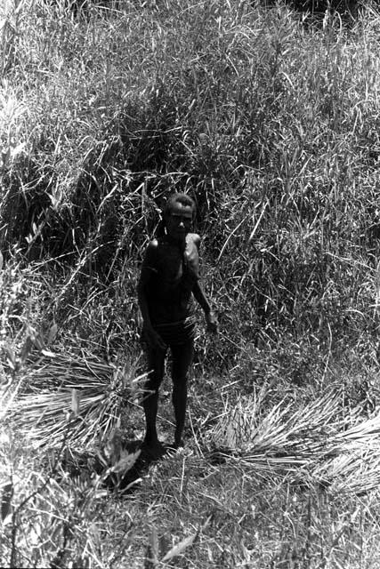 A woman standing among her work in a thicket