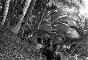 Children sit under the shade of a palm in Biak