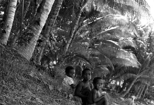 Children sit under the shade of a palm in Biak