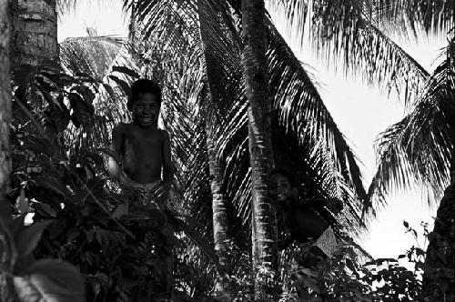 Children among the palm trees in Biak