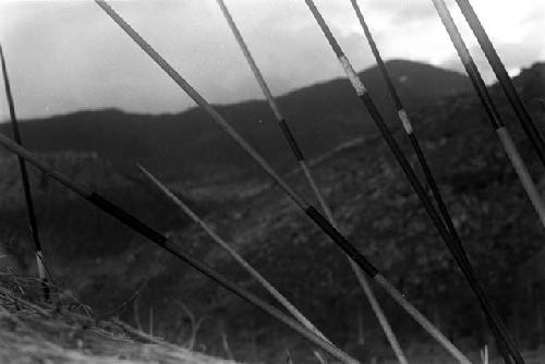 Spears against the olea on the Liberek during an Etai