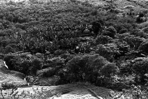 Distant shot of the Mapiliatma sili, taken from the Tukumba