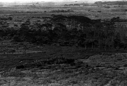 Distant shot of Puakoloba