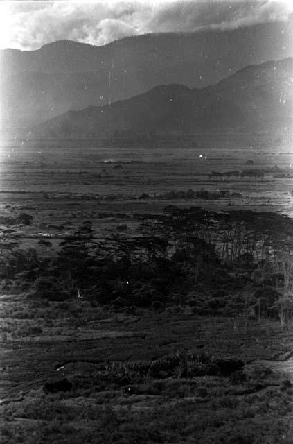 Distant shot of Puakoloba