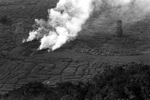 Thick smoke from a garden below -- seen from high above on a hill