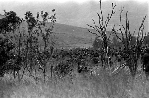 Warriors going through the little forest to the east of the Tokolik