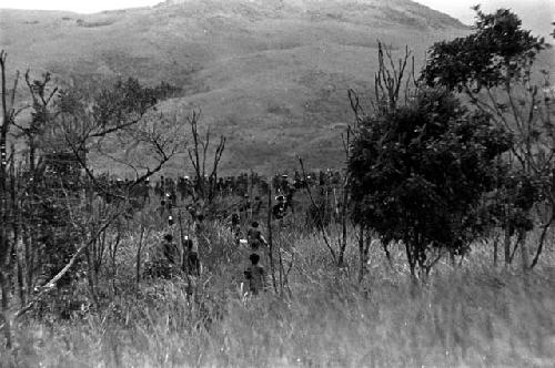 Warriors going through the little forest to the east of the Tokolik