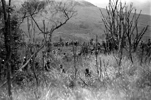 Warriors going through the little forest to the east of the Tokolik