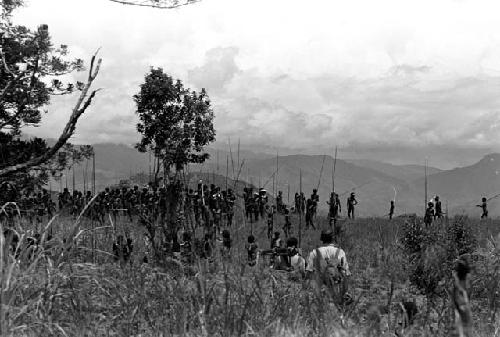 Large group of men near the sien tree in the vicinity of the Tokolik; anthropologists on lower right