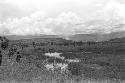 Long line of warriors going past the pond on the wat to a war on the Tokolik