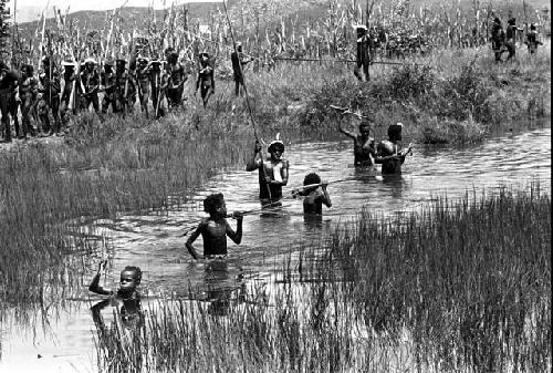 Large group of spearmen coming back from the front -- walking through the deep water of the pond