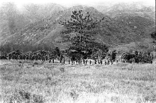 Long line of warriors running by the sien tree; men up in the sien tree watch the distant war