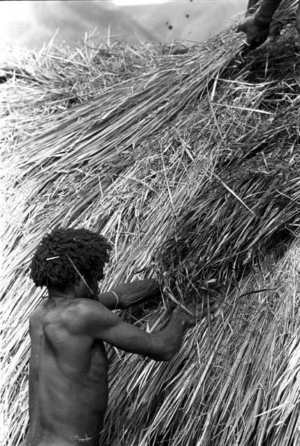 Men thatching the roof of a building under construction in the new village of Kumina