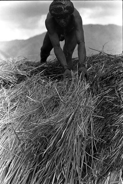 A man thatching the roof of a building under construction in the new village of Kumina