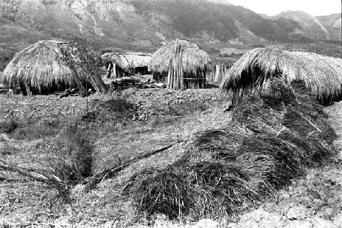 Bundles of grass used for thatching roofs in the new village of Kumina; hills beyond