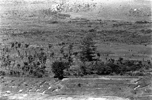 View of the Sien tree on the Tokolik; men gathered just as a battle is beginning