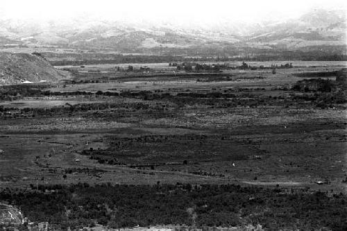 View of the battle frontier on the Willihiman-Wallalua side