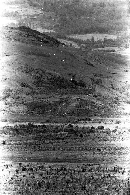 View of the battle frontier on the Willihiman-Wallalua side