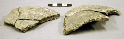 Ceramic rim sherds, plain, shell temper, mended