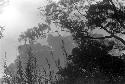 Heavy clouds seen through trees and plants along the Aikhé river