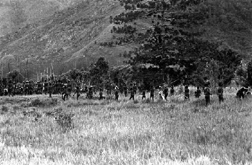 Willihiman-Wallalua return to the area around the sien tree on the Tokolik