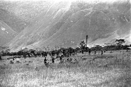 A large group of Willihiman-Wallalua warriors wait for the battle to resume; kaio visible in center right; hills beyond