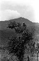 Men in a short tree keeping lookout on the Tokolik; hills beyond